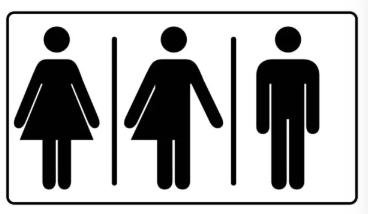 Opciones visuales para C003